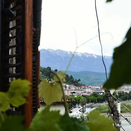 Timo's 게스트하우스